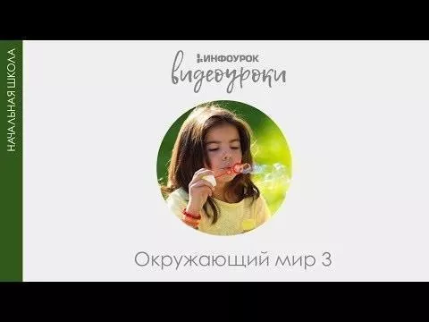 Что такое тайга, где она расположена? Типы тайги