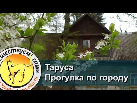 Что посмотреть и куда сходить в Тарусе и окрестностях — достопримечательности, музеи и памятники