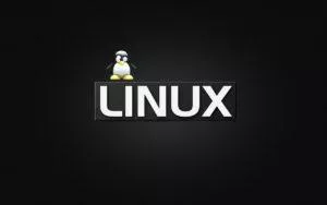 Особенности российского Linux